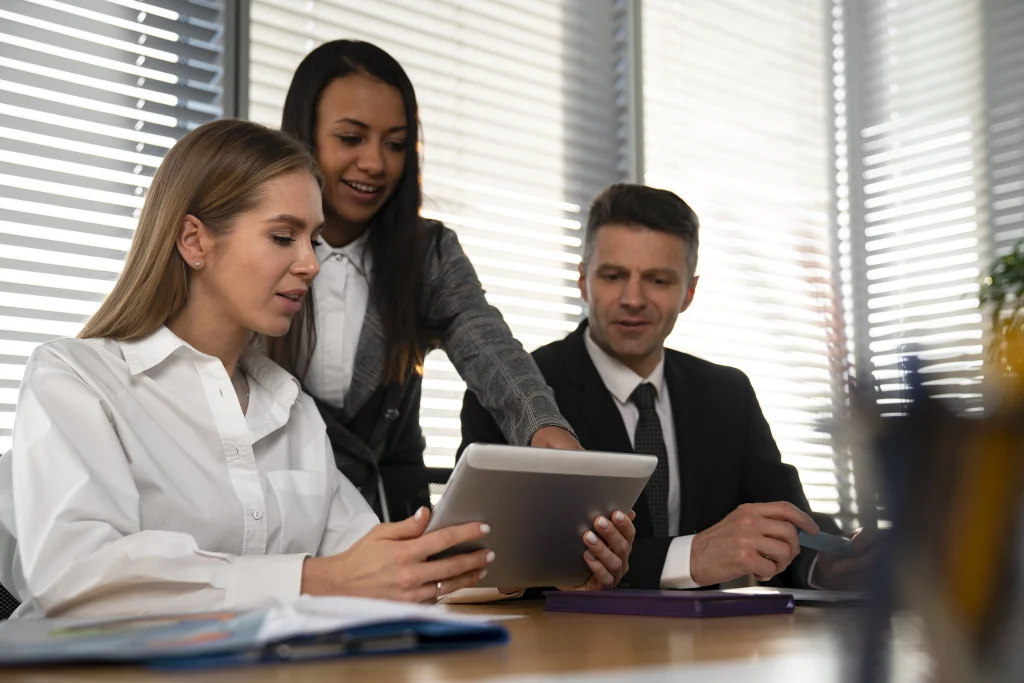 tecnologia da informação, gestão empresarial, contabilidade, e consultoria financeira